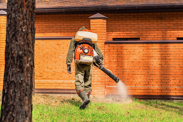 Trusted Rodent Control service in Atwood, KS - Nex Pest Control